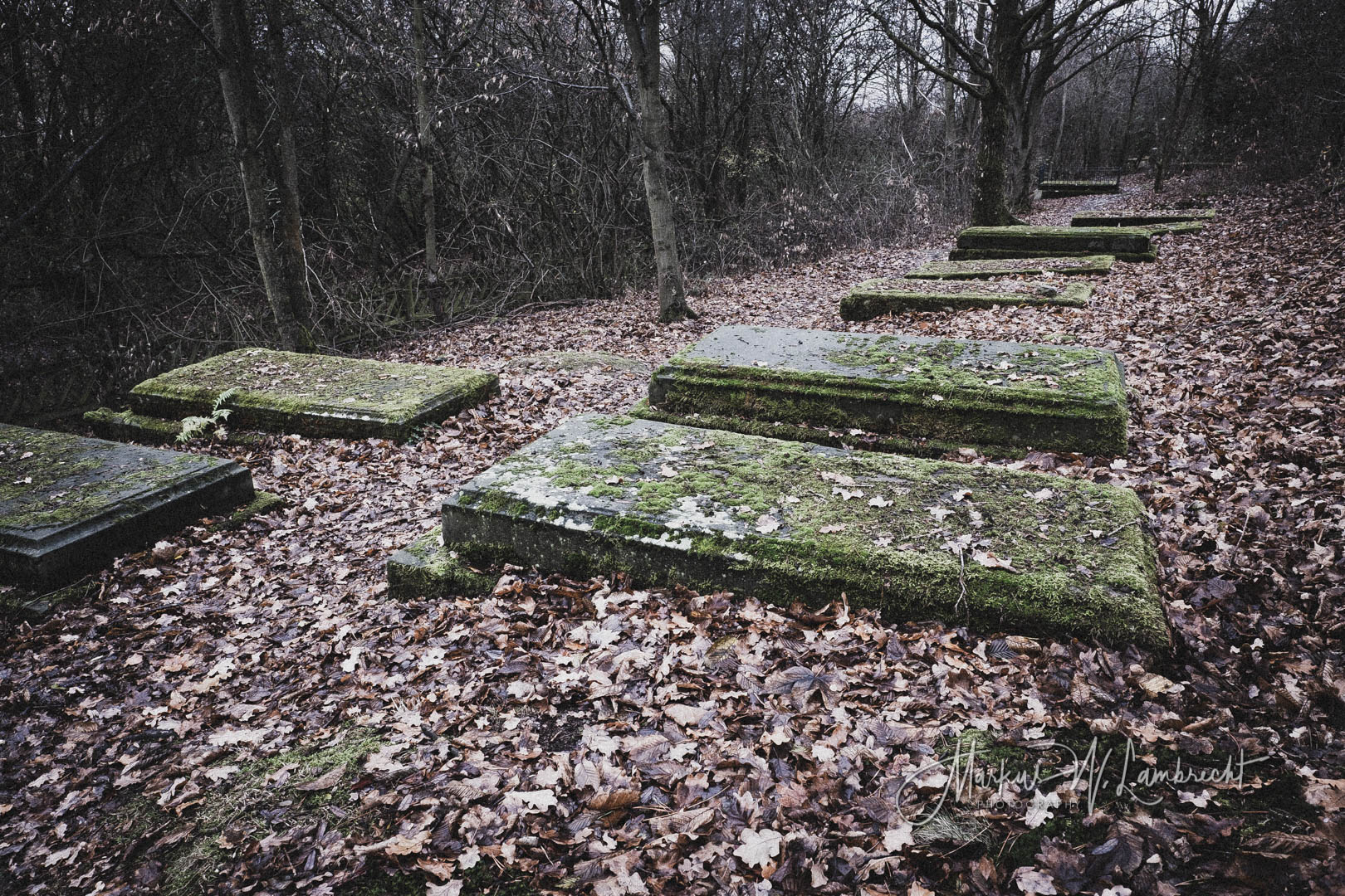 Bovenden, Jüdischer Friedhof
